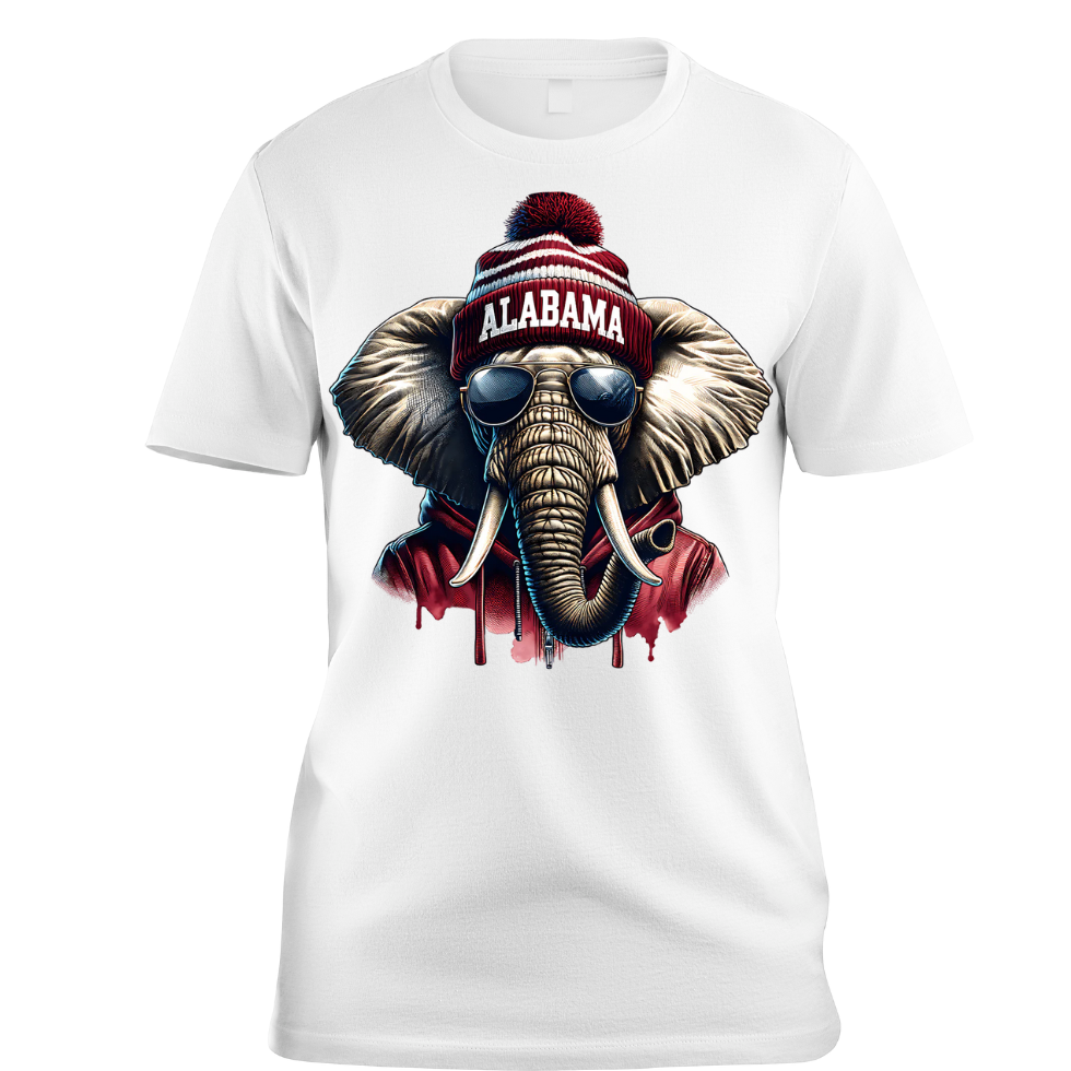 NFL Teams in Beanies