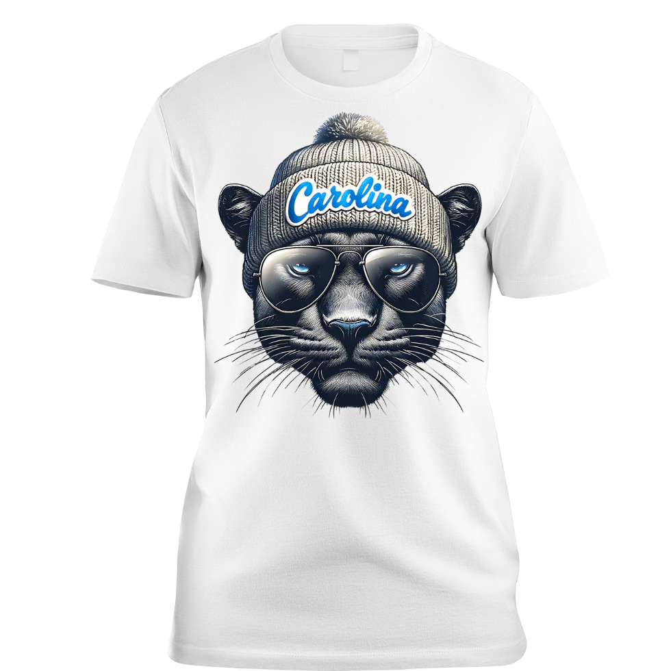 NFL Teams in Beanies