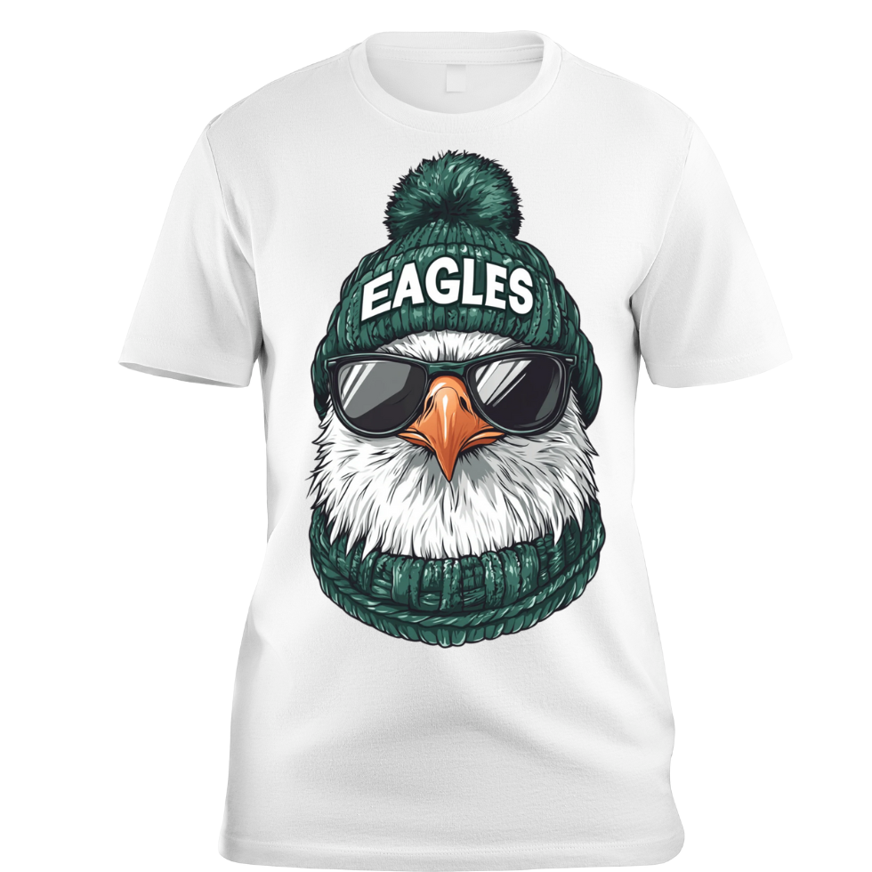 NFL Teams in Beanies