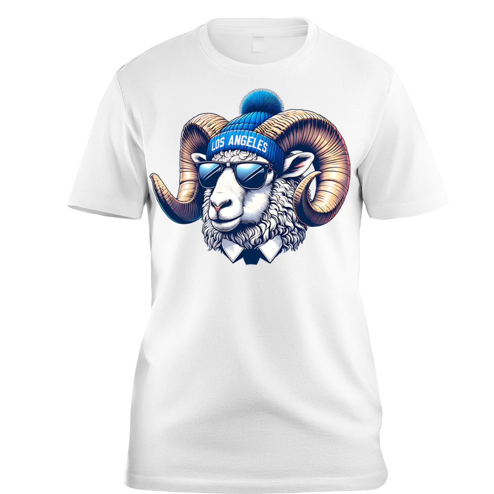 NFL Teams in Beanies